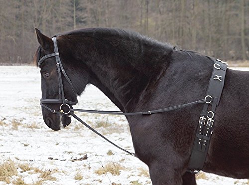Dreieckszügel Wienerzügel nach §70 LPO auf Turnieren zugelassen Leder schwarz Cob/Full von German Riding