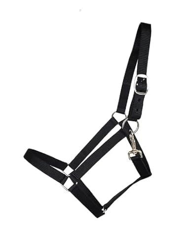 German Riding Halfter Basic Gr. Shetty schwarz - ideal für Holzpferd von German Riding