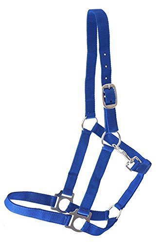 German Riding Halfter NYLONHALFTER blau Cob/VB German Riding Halfter NYLONHALFTER blau Cob/VB von German Riding