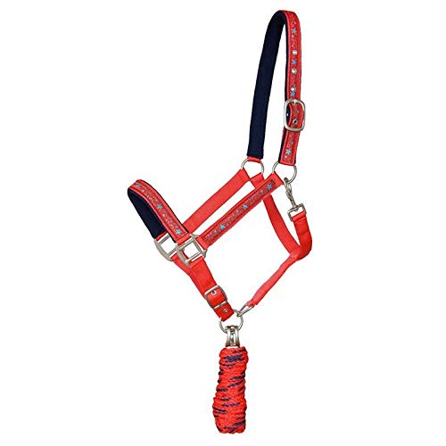German Riding Halfterset Starlet (Shetty, rot) von German Riding
