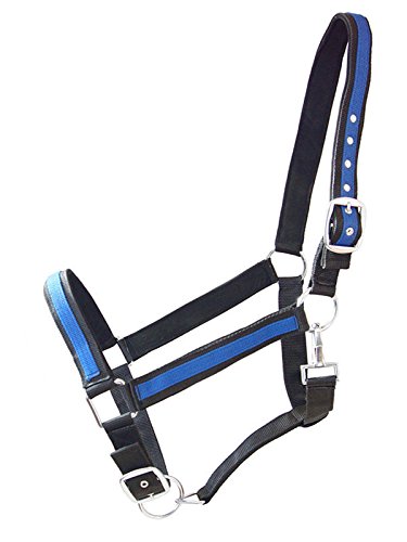 German Riding Kaltbluthalfter Big Boy schwarz-royalblau von German Riding