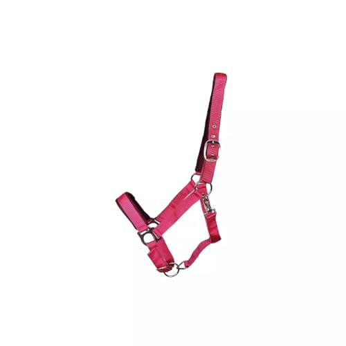 German Riding Kunststoffhalfter Basic Paddy Magenta Cob gleich VB German Riding Kunststoffhalfter Basic Paddy Magenta Cob gleich VB von German Riding
