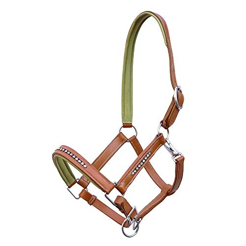 German Riding Lederhalfter Lemon Tree Sonderposten, kann Verfärbungen am Material aufweisen (Pony) von German Riding