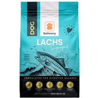 German Shephy Hundefutter Lachs 10 kg von German Shephy