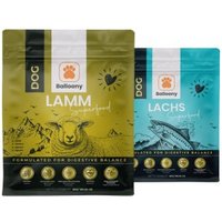 German Shephy Hundefutter Lamm & Lachs 6 kg von German Shephy