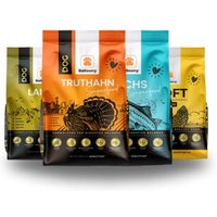 German Shephy Balloony Hundefutter Probierpaket von German Shephy