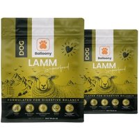 German Shephy Hundefutter Sensitve Lamm 6 kg von German Shephy