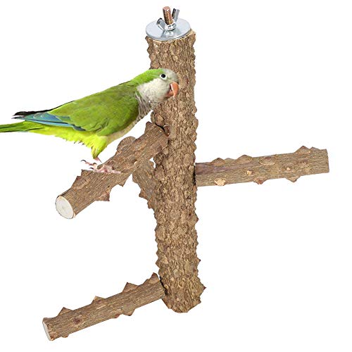Papageien Holz Trainingsstand, mit Haut Papageien Stehstange, Haustiere Papageien für Vögel(S, Blue) von Germerse