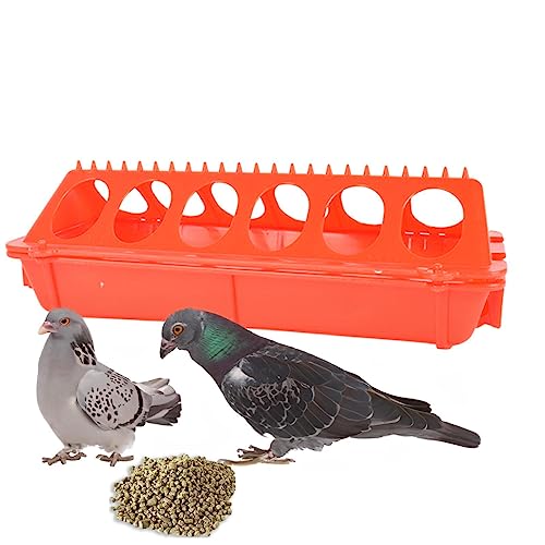 Geflügel-Futterspender aus PVC-Material, Anti-Verschütten, Futterspender ohne Unordnung, kein Abfall für Wachteln, Papageien, kleine Geflügel-Futterstation für Entchen, Wachteln Geflügel-Futterspender aus PVC-Material, Anti-Verschütten, Futterspender ohne Unordnung, kein Abfall für Wachteln, Papageien, kleine Geflügel-Futterstation für Entchen, Wachteln von Geruwam
