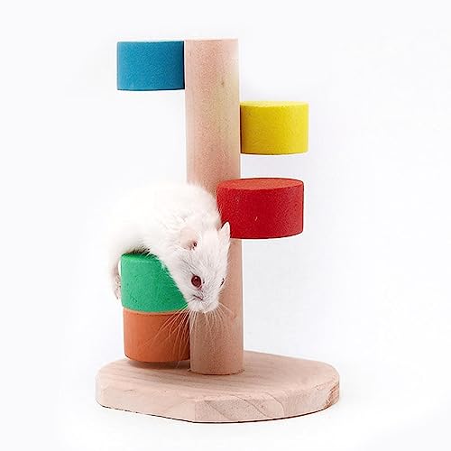 Hamster-Kletterspielzeug - Rennmaus-Treppe, Hamsterspielzeug, Bunte Käfigtreppe | Kinderspielzeug, Regenbogen-Kletterleiter, Kleintier-Hamster-Spielzeug, lässig Geruwam von Geruwam