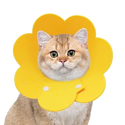 Pet Recovery Collar - Pet Protection Collar Cone - Soft Dog Cone for Dogs for Recovery, Adjustable Donut Collars for Small, Medium, Large Dogs Cats Geruwam Pet Recovery Collar - Pet Protection Collar Cone - Soft Dog Cone for Dogs for Recovery, Adjustable Donut Collars for Small, Medium, Large Dogs Cats Geruwam von Geruwam