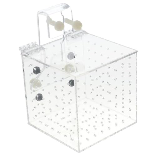 GetCoupon Aquariumzucht-Isolationsbox für Aquarien, 9,9 x 9,9 x 9,9 cm, hohl, für Brutstätten, Brutkasten von GetCoupon