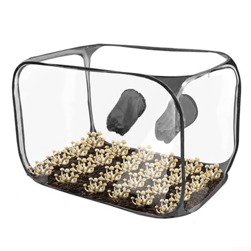 Stillluftbox, Pilzzucht-Set, tragbar, kompakt, Schwarz Stillluftbox, Pilzzucht-Set, tragbar, kompakt, Schwarz von Getdoublerich