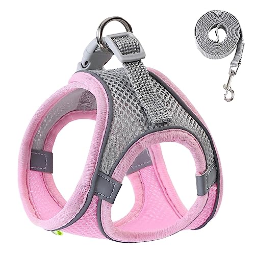 Hundegeschirr, reflektierende Hundeweste, Haustierbekleidung für nächtliche Spaziergänge, atmungsaktives Hundegeschirr, Sicherheitsweste für kleine und mittelgroße Hunde Geteawily Hundegeschirr, reflektierende Hundeweste, Haustierbekleidung für nächtliche Spaziergänge, atmungsaktives Hundegeschirr, Sicherheitsweste für kleine und mittelgroße Hunde Geteawily von Geteawily