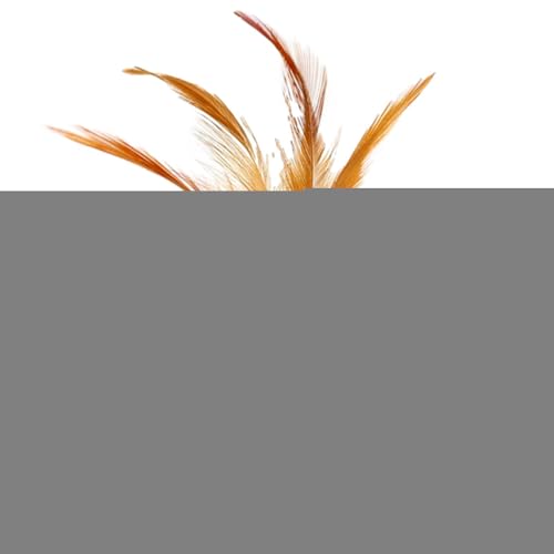 Katzenminze Ball,Kauspielzeug Für Katzen Mit Schwanz - Kätzchen Leckerli, Energie Ball für Zahnreinigung, gegen Langeweile, Indoor Spiel, Jagdtraining, Bewegung und geistige Stimulation von Geteawily