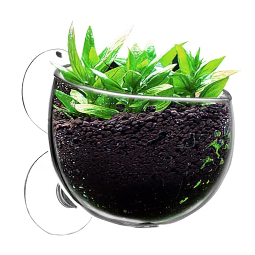 Saugnapf-Wasserpflanzenbecher, Saugnapf-Pflanzgefäß,Lebender Pflanzentopf für Aquarien | Wasserpflanzgefäß, Wasserpflanzenbecher, Aquarium, lebender Pflanzentopf, rote, lebende Pflanzen, von Geteawily