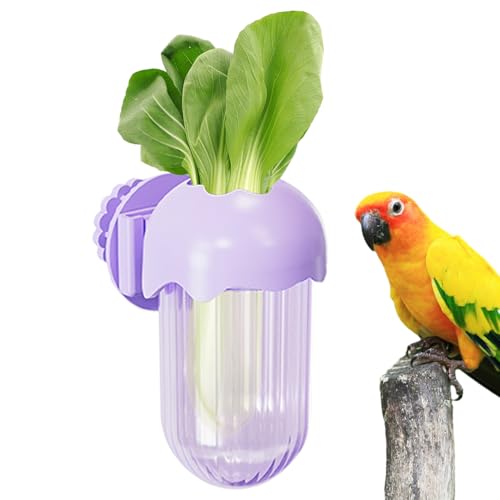 Vogelschalen Für Käfig | Futter- Und Wassernapf Mit Klemmvorrichtung - Trinknapf Für Kleintiere Wie Wellensittiche, Nymphensittiche & Zierfinken Vogelschalen Für Käfig | Futter- Und Wassernapf Mit Klemmvorrichtung - Trinknapf Für Kleintiere Wie Wellensittiche, Nymphensittiche & Zierfinken von Geteawily