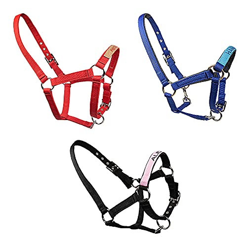Pferdehalfter mit Namenstickerei am Nasenband - Personalisiertes Halfter mit Namen - Führleine - Führleine - Führleine - Halfter mit Gravur - personalisierte Pferdetackle für Dein Pferd oder Pony von Getname Necklace