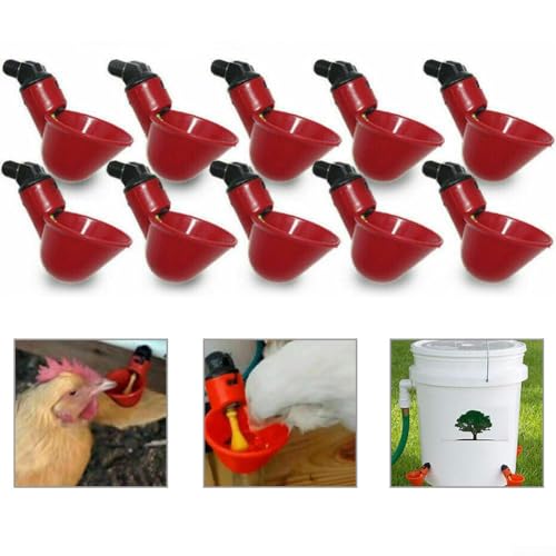 Automatische Hühnertränke, automatische Geflügeltränke, Futterspender für Küken, Huhn, Ente, Wachtel, Truthahn, 10 Stück von Gettimore