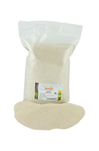 Getzoo Badesand - Chinchilla Sand I Spezialpflege für Fell und Krallen I Vielseitige Anwendung I 100% Sepiolitsand I Für Diverse Nager und Exoten geeignet (1 kg) von Getzoo