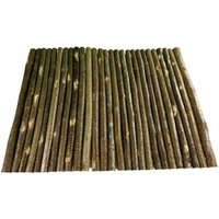 Getzoo Haselnussbrücke XXXXL von Getzoo