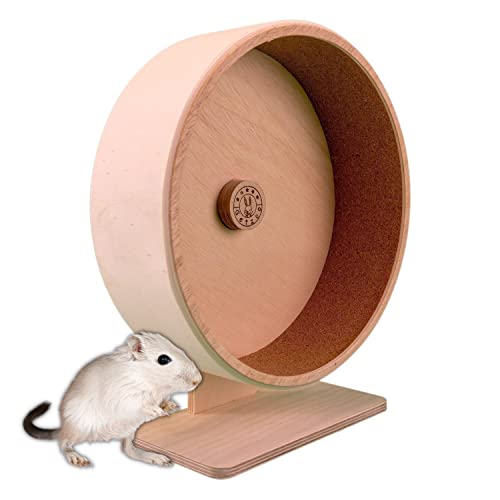 Getzoo Ø 30 cm Korklaufrad (Ø 28,4 cm Innen) mit austauschbarer Korkeinlage I Vielseitiges, artgerechtes Laufrad I Leise, Pfoten-schonend I Hochwertiges Holz | Geeignet für Hamster von Getzoo