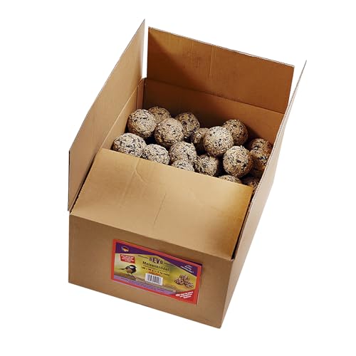 GeVo-Meisenknödel, 100 Stück ohne Netz à 90 g im Karton GeVo-Meisenknödel, 100 Stück ohne Netz à 90 g im Karton von Gevo