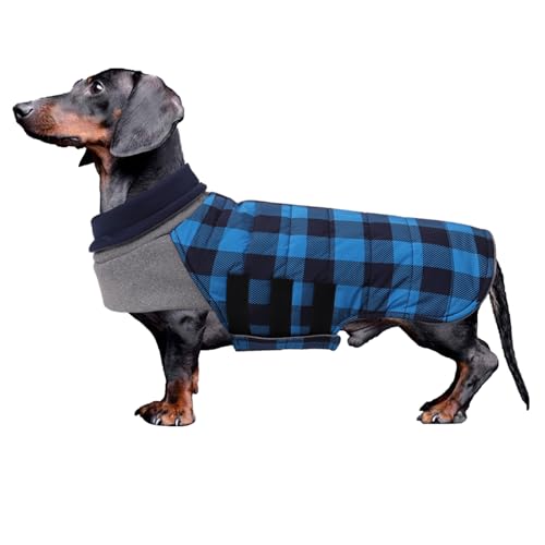 Geyecete Dackel Mantel Winter, Warmer Hunde wintermantel,wasserdichter Hundemantel mit Leinenloch,Hundepullover Hundemantel für kleine Hunde Dackel-Blau-M Geyecete Dackel Mantel Winter, Warmer Hunde wintermantel,wasserdichter Hundemantel mit Leinenloch,Hundepullover Hundemantel für kleine Hunde Dackel-Blau-M von Geyecete