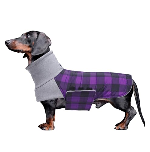 Geyecete Dackel Mantel Winter, Warmer Hunde wintermantel,wasserdichter Hundemantel mit Leinenloch,Hundepullover Hundemantel für kleine Hunde Dackel-Lila-M Geyecete Dackel Mantel Winter, Warmer Hunde wintermantel,wasserdichter Hundemantel mit Leinenloch,Hundepullover Hundemantel für kleine Hunde Dackel-Lila-M von Geyecete