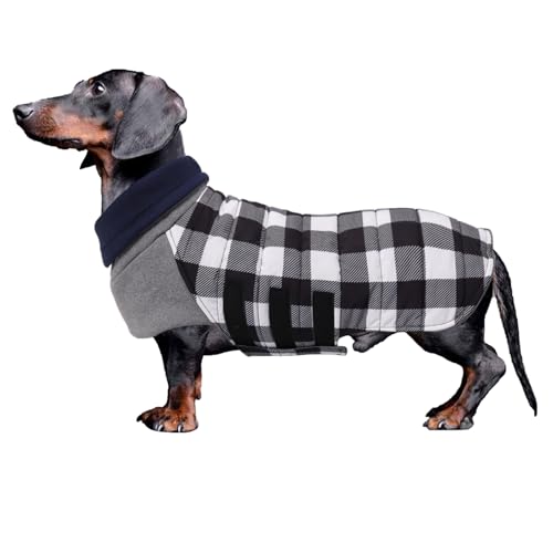 Geyecete Dackel Mantel Winter, Warmer Hunde wintermantel,wasserdichter Hundemantel mit Leinenloch,Hundepullover Hundemantel für kleine Hunde Dackel-schwarz-M Geyecete Dackel Mantel Winter, Warmer Hunde wintermantel,wasserdichter Hundemantel mit Leinenloch,Hundepullover Hundemantel für kleine Hunde Dackel-schwarz-M von Geyecete