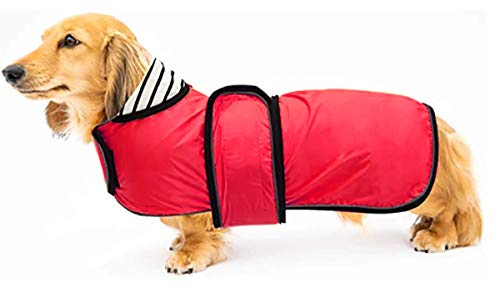 Geyecete Hunde Regenmantel,Einstellbar Wasserdicht Hundejacke für Dackel,Regenmantel mit reflektierenden Trägern,Regenjacken mit Gürtel mit Klettverschluss für Miniaturdackel-Rot-M von Geyecete