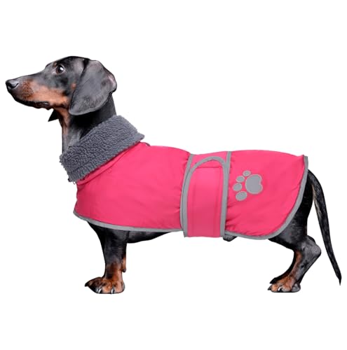 Geyecete-Hunde Wintermantel fur Dackel,Hundejacken mit plüschfutter und Kabelbaumloch,Wasserdichter Winddicht, reflektierend Outdoor Hundekleidung fur mittel und Kleiner Dackel Hund-Rosa-M von Geyecete