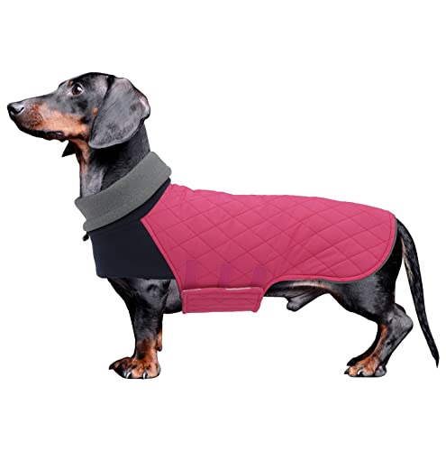 Geyecete Dackel Hundemantel, Warmer Quilten Mantel Mit Geschirr Loch, Winddicht Rollkragen Hundejacke, Miniatur Weste Für Kleine Hunde - Rosa - XL von Geyecete