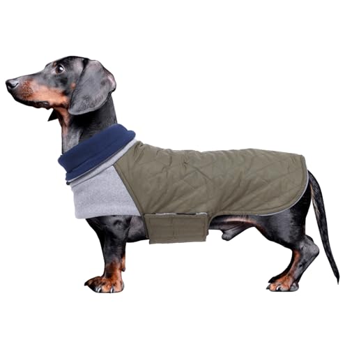 Geyecete Hundemantel Dackel, Dackel Wintermantel, Warmer Quilten Dackelmantel mit Geschirr Loch,Winddicht Rollkragen Hundejacken, Miniatur Dackel Weste für kleine Hunde-grün-XS Geyecete Hundemantel Dackel, Dackel Wintermantel, Warmer Quilten Dackelmantel mit Geschirr Loch,Winddicht Rollkragen Hundejacken, Miniatur Dackel Weste für kleine Hunde-grün-XS von Geyecete