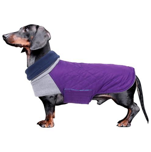 Geyecete Hundemantel Dackel, Dackel Wintermantel, Warmer Quilten Dackelmantel mit Geschirr Loch,Winddicht Rollkragen Hundejacken, Miniatur Dackel Weste für kleine Hunde-lila-L Geyecete Hundemantel Dackel, Dackel Wintermantel, Warmer Quilten Dackelmantel mit Geschirr Loch,Winddicht Rollkragen Hundejacken, Miniatur Dackel Weste für kleine Hunde-lila-L von Geyecete