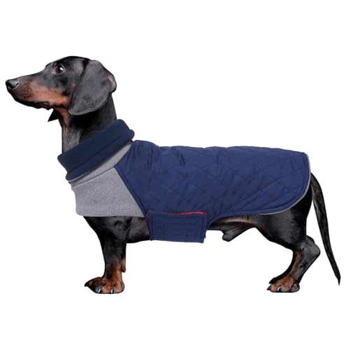 Geyecete Hundemantel Dackel, Dackel Wintermantel, Warmer Quilten Miniatur Dackelmantel mit Geschirr Loch,Winddicht Rollkragen Hundejacken für kleine Hunde-Dunkelblau-S Geyecete Hundemantel Dackel, Dackel Wintermantel, Warmer Quilten Miniatur Dackelmantel mit Geschirr Loch,Winddicht Rollkragen Hundejacken für kleine Hunde-Dunkelblau-S von Geyecete