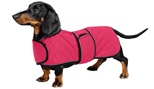 Geyecete - Warmer wintermantel für dackel Hunde,Hunde winterjacken mit plüschfutter,Outdoor jacken mit verstellbaren gürtel und Kabelbaumloch ,für mittelgroße und Kleiner dackel-Rosa-S von Geyecete