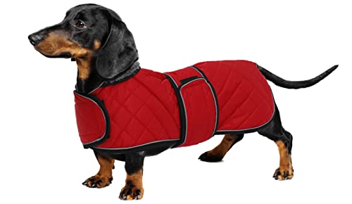 Geyecete - Warmer wintermantel für dackel Hunde,Hunde winterjacken mit plüschfutter,Outdoor jacken mit verstellbaren gürtel und Kabelbaumloch ,für mittelgroße und Kleiner dackel-Rot-S von Geyecete