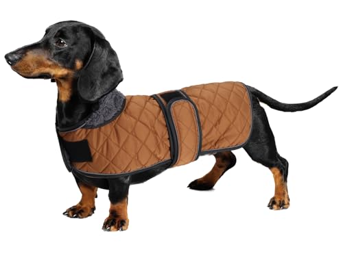 Geyecete - Warmer wintermantel für dackel Hunde,Hunde Winterjacken mit plüschfutter,Outdoor jacken mit verstellbaren gürtel und Kabelbaumloch,für mittelgroße und Kleiner dackel-Braun-XS Geyecete - Warmer wintermantel für dackel Hunde,Hunde Winterjacken mit plüschfutter,Outdoor jacken mit verstellbaren gürtel und Kabelbaumloch,für mittelgroße und Kleiner dackel-Braun-XS von Geyecete