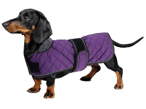 Geyecete - Warmer wintermantel für dackel Hunde,Hunde Winterjacken mit plüschfutter,Outdoor jacken mit verstellbaren gürtel und Kabelbaumloch,für mittelgroße und Kleiner dackel-Lila-L Geyecete - Warmer wintermantel für dackel Hunde,Hunde Winterjacken mit plüschfutter,Outdoor jacken mit verstellbaren gürtel und Kabelbaumloch,für mittelgroße und Kleiner dackel-Lila-L von Geyecete