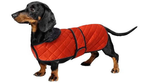 Geyecete - Warmer wintermantel für dackel Hunde,Hunde Winterjacken mit plüschfutter,Outdoor jacken mit verstellbaren gürtel und Kabelbaumloch,für mittelgroße und Kleiner dackel-Orange-S Geyecete - Warmer wintermantel für dackel Hunde,Hunde Winterjacken mit plüschfutter,Outdoor jacken mit verstellbaren gürtel und Kabelbaumloch,für mittelgroße und Kleiner dackel-Orange-S von Geyecete