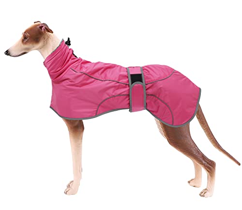Geyecete- Wasserdicht Windhunde Mantel Fleece Whippet Pullover Winterjacke,Verstellbaren Reflektierend Outdoor Hundemantel für mittel und Grosse Galgo Windhund Whippet Lurcher Saluki-Rosa-XXXL von Geyecete