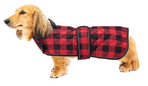 Geyecete Wasserdichter Hundemantel,Dackel Mantel,Hundejacke Winter für Dackel,mit Warmem Fleecefutter innen,Verstellbaren Outdoor Hundebekleidung für Dackel Miniatur Dackel-Kariert Rot-M Geyecete Wasserdichter Hundemantel,Dackel Mantel,Hundejacke Winter für Dackel,mit Warmem Fleecefutter innen,Verstellbaren Outdoor Hundebekleidung für Dackel Miniatur Dackel-Kariert Rot-M von Geyecete