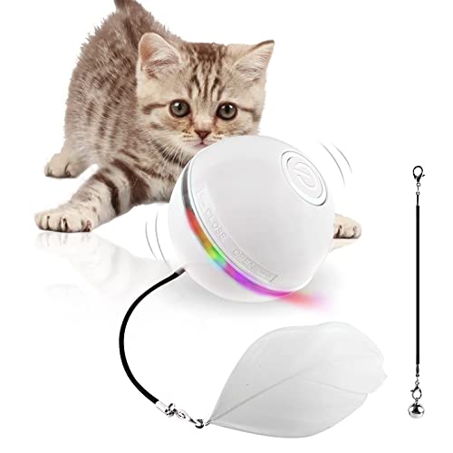 Ggdutu Katzenspielzeug Selbstbeschäftigung Elektrisches Katzenball, Katzen Spielzeug Automatischer 360 Grad Ball, Interaktives Katzenspielzeug mit USB Wiederaufladbarer (Weiß) von Ggdutu