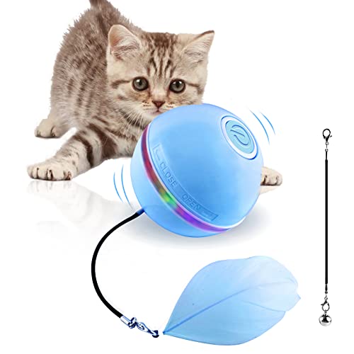 Ggdutu Katzenspielzeug Selbstbeschäftigung Elektrisches Katzenball, Katzen Spielzeug Automatischer 360 Grad Ball, Interaktives Katzenspielzeug mit USB Wiederaufladbarer (Blau) von Ggdutu