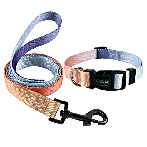 Ggdutu Set mit Halsband und Leine für Hunde, verstellbares Halsband, strapazierfähiges Nylon, geeignet für mittelgroße und große Hunde, Maße 1,5 m x 2,0 cm (Größe M) von Ggdutu