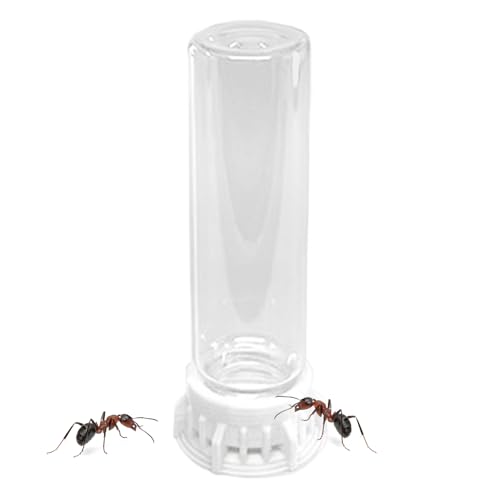 Ant Feeder, Transparent Pet Farm Water Bowl, Non Slip Feeder Station, 3.94x1.18x1.18 Inches, Portable Heavy Duty Design, Clear for Nest, Indoor Hydration, Care von Ghjkldha