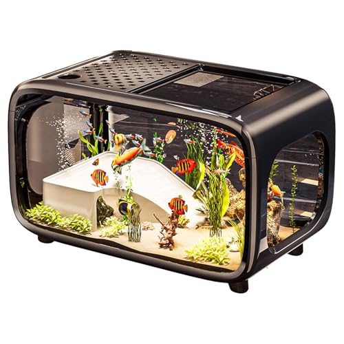 Desktop Fischbecken - Kampffisch Aquarium Landschaft | Klarer Lebensraum Behälter Für Aquatische Tiere Wie Schnecken Schildkröten Und Kampffische Mit Platz Für Desktop Fischbecken - Kampffisch Aquarium Landschaft | Klarer Lebensraum Behälter Für Aquatische Tiere Wie Schnecken Schildkröten Und Kampffische Mit Platz Für von Ghjkldha