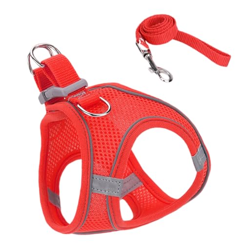 Fluchtsicheres Katzen Geschirr,Weiches Mesh-Geschirr Mit Reflektierenden Sicherheitsstreifen - Größen S M L Für Wanderungen Training Reisen Outdoor Fluchtsicheres Katzen Geschirr,Weiches Mesh-Geschirr Mit Reflektierenden Sicherheitsstreifen - Größen S M L Für Wanderungen Training Reisen Outdoor von Ghjkldha