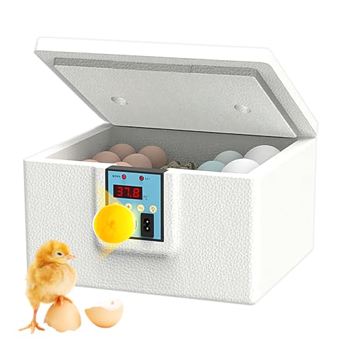 Geflügelbrutmaschine | Enten Wärmekasten,Berührungsgesteuertes Führungssystem Für Kleine Geflügelhaltung Geflügelbrutmaschine | Enten Wärmekasten,Berührungsgesteuertes Führungssystem Für Kleine Geflügelhaltung von Ghjkldha